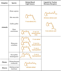 Nutrients 04 02069 g001 200