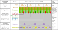 Nutrients 04 02069 g002 200