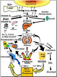 Nutrients 05 00111 g001 200