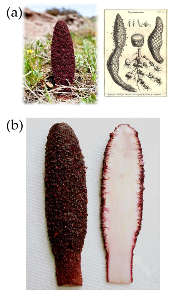 Nutrients 05 00149 g001