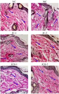 Nutrients 05 00223 g002 200