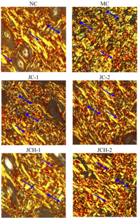 Nutrients 05 00223 g003 200