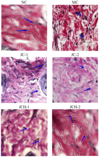 Nutrients 05 00223 g004 200