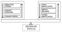 Nutrients 05 00340 g002 200