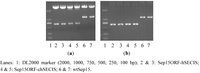 Nutrients 05 00624 g001 200