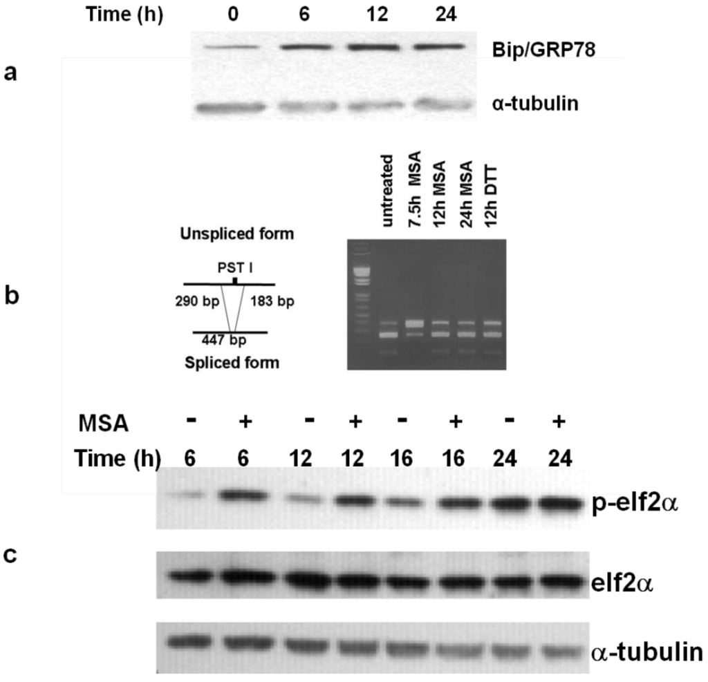 Nutrients 05 00725 g005 1024