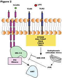 Nutrients 05 00829 g002 200