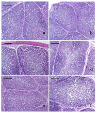 Nutrients 05 00877 g001 200