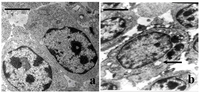 Nutrients 05 00877 g002 200