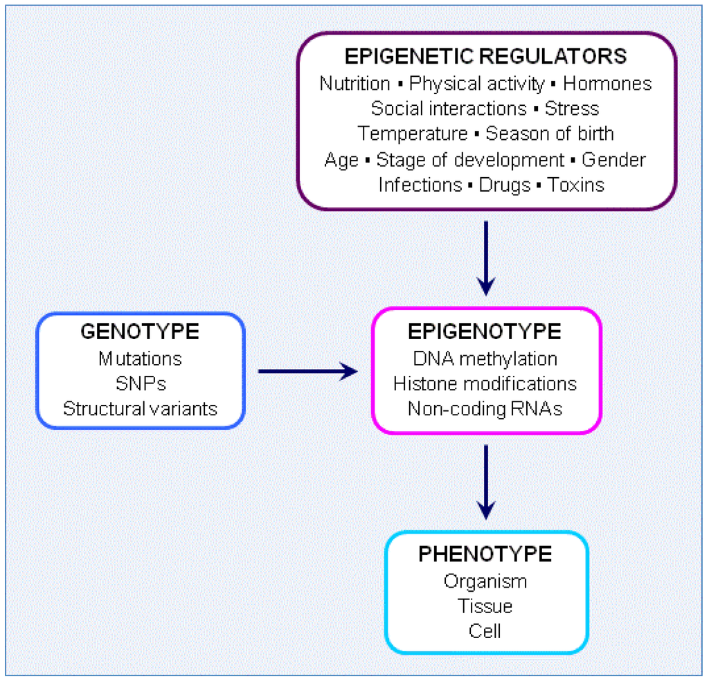 Nutrients 05 00887 g002 1024