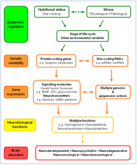 Nutrients 05 00887 g004 200