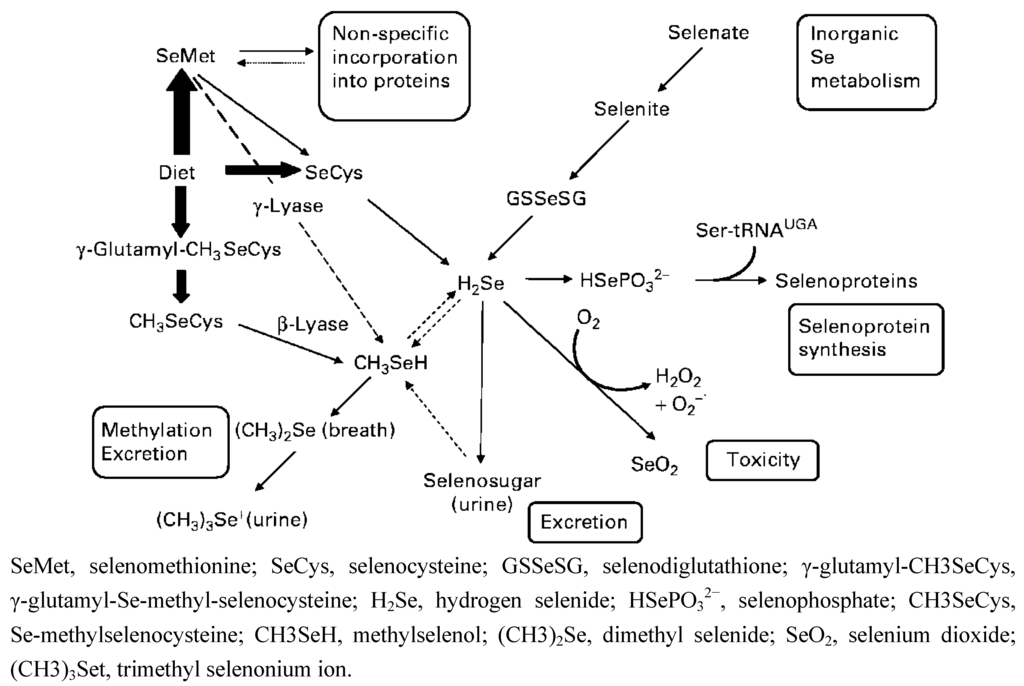 strategies for