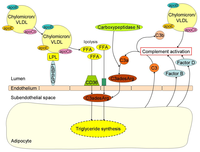 Nutrients 05 01218 g002 200