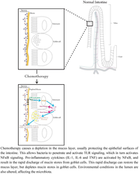 Nutrients 05 01488 g001 200