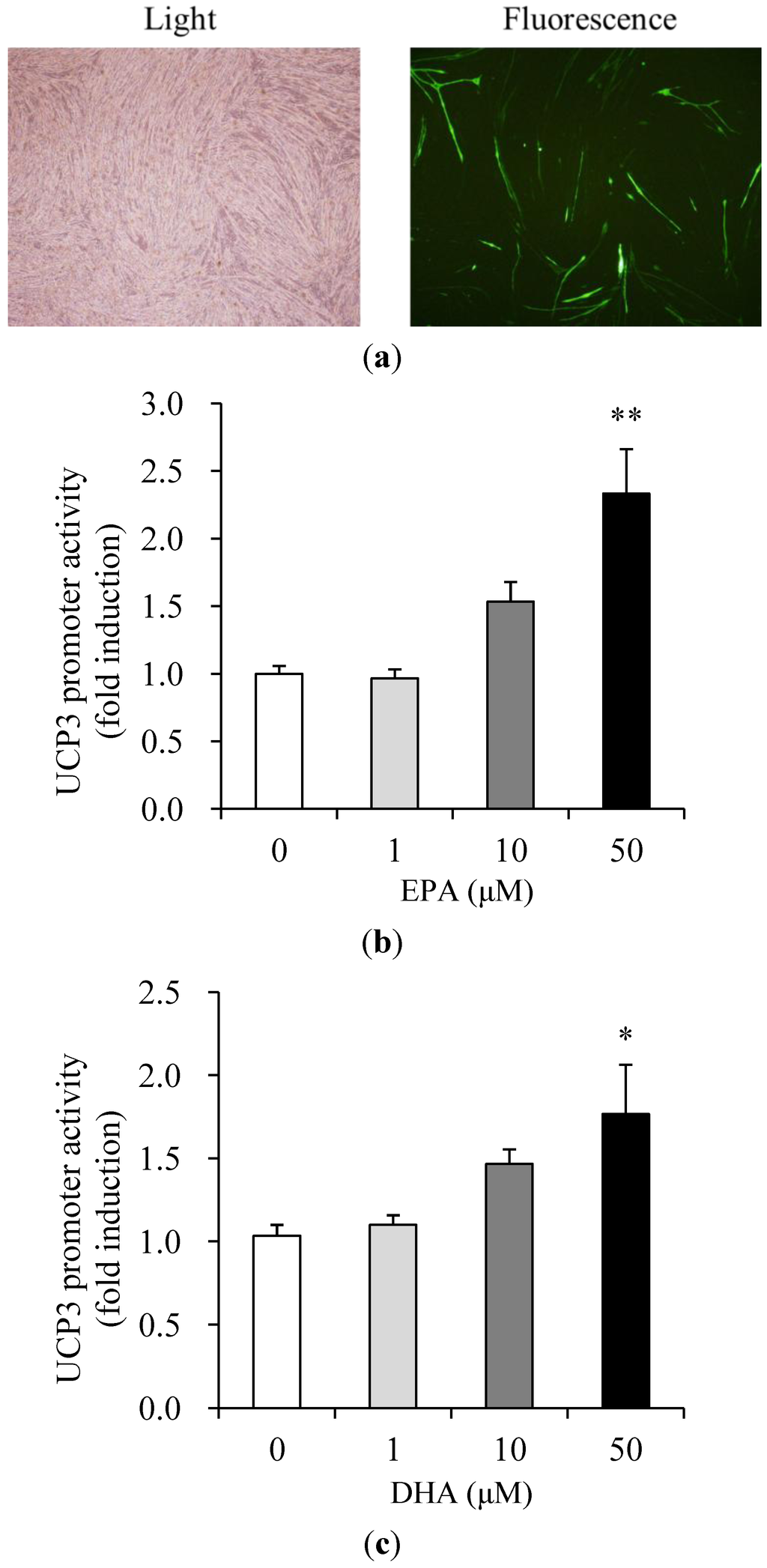 Nutrients 05 01660 g003 1024