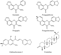 Nutrients 05 01757 g008 200