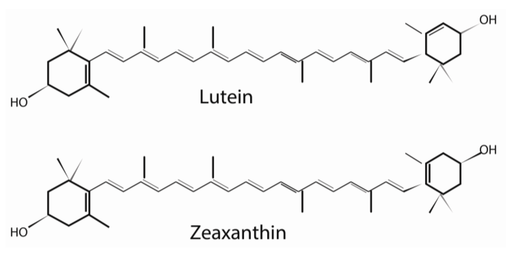 Nutrients 05 01823 g002 1024