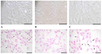 Nutrients 05 02076 g004 200