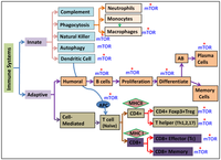 Nutrients 05 02231 g003 200