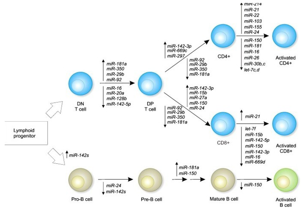 Nutrients 05 02314 g002 1024