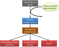 Nutrients 05 02384 g001 200