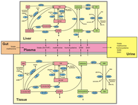 Nutrients 05 02457 g001 200