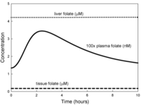 Nutrients 05 02457 g004 200