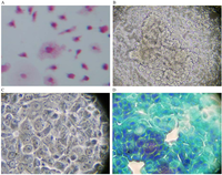 Nutrients 05 02577 g001 200