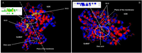 Nutrients 05 02577 g004 200