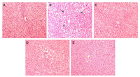 Nutrients 05 02734 g003 200