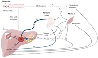 Nutrients 05 02811 g003 200