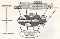 Nutrients 05 02901 g001 200