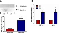 Nutrients 05 03131 g006 200