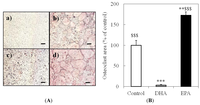 Nutrients 05 03151 g003 200