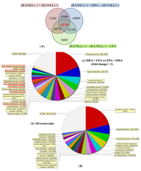 Nutrients 05 03151 g004 200