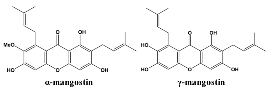 Garcinia Mangostana Pdf