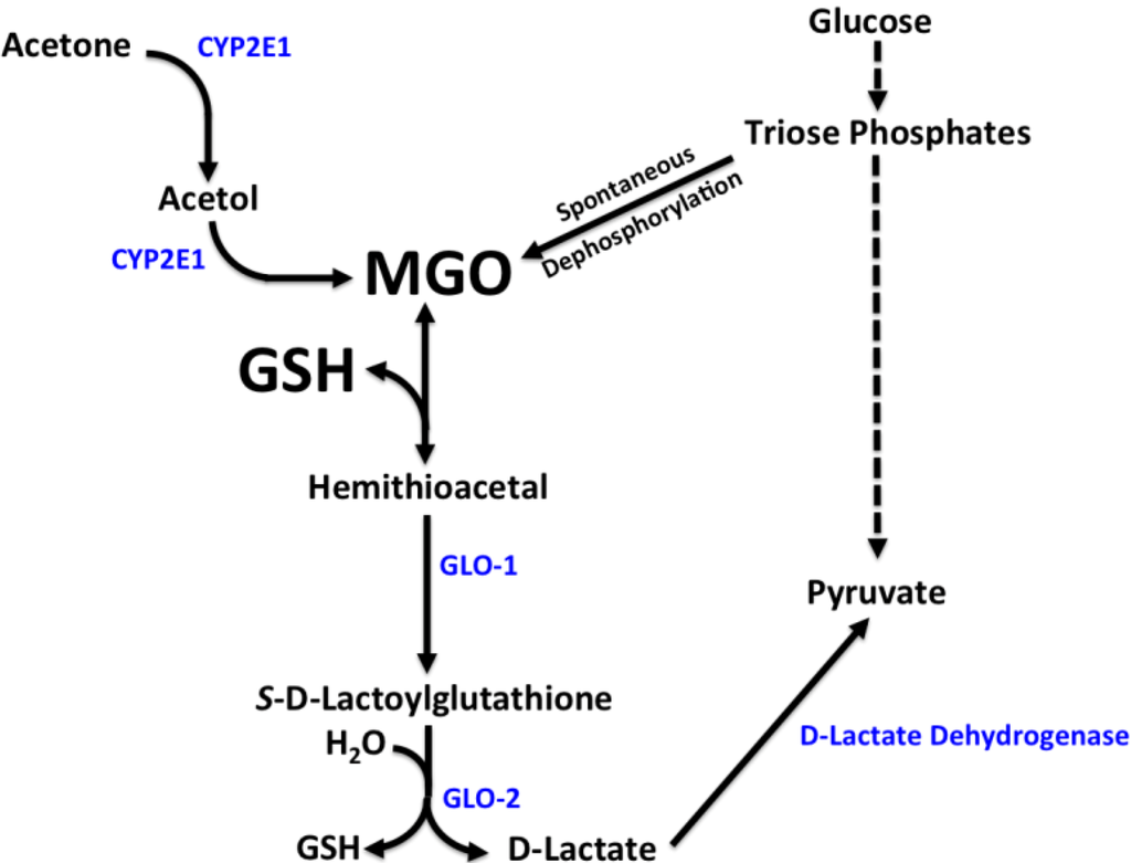 Nutrients 05 03311 g001 1024
