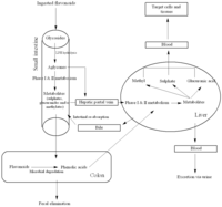 Nutrients 05 03367 g002 200