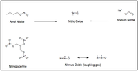 Nutrients 05 03854 g001 200