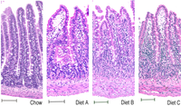 Nutrients 05 03948 g006 200