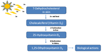Nutrients 05 03993 g001 200