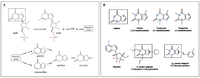 Nutrients 05 04159 g001 200