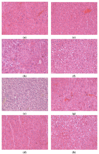 Nutrients 05 04211 g002 200