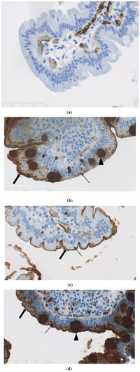 Nutrients 05 04540 g002 200