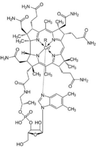 Nutrients 05 05031 g001 200
