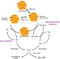 Nutrients 05 05161 g004 200