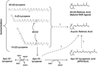 Nutrients 06 00124 g003 200