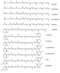 Nutrients 06 00466 g001 200