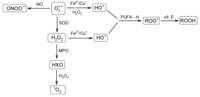 Nutrients 06 00466 g002 200