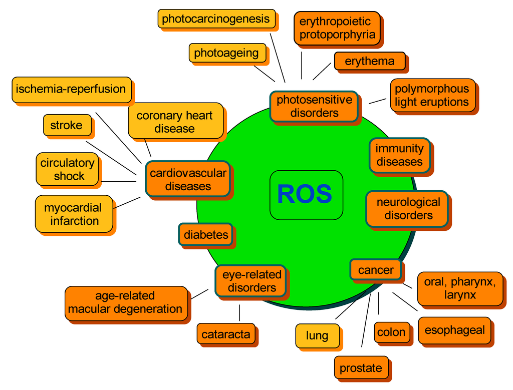 nutrients examples